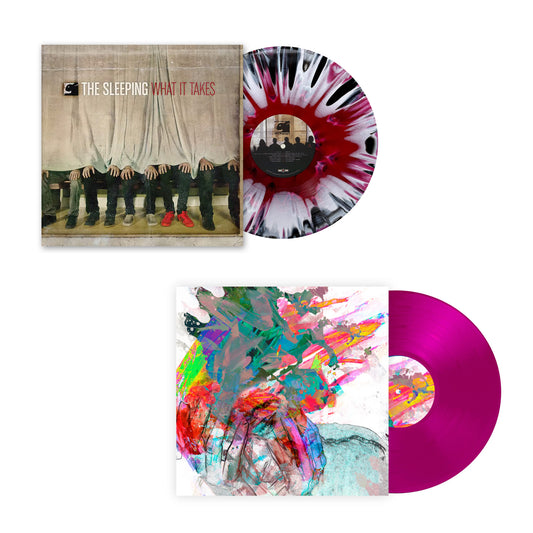 Vinyl Record Bundle