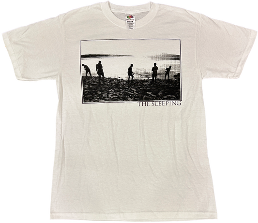 Throwing Rocks Tee (2010 print)
